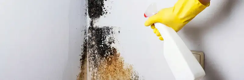 visible mold growth on an interior wall being treated during mold removal service in Boca Raton, FL